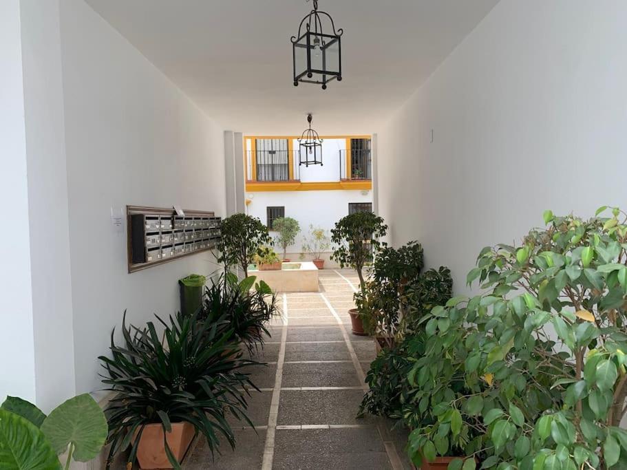 Pilsev Center Apartment Seville Luaran gambar